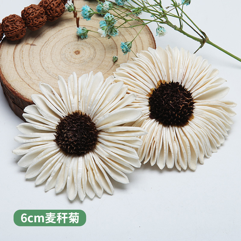10PCS African Daisy Hand-made  - Home Decor Daisy ulasan dan harga