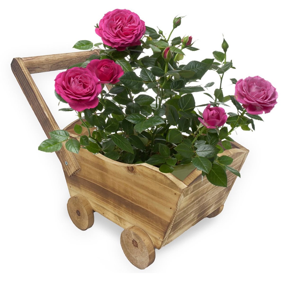 2026 Trend Cartoon Car Flower  - Home Decor Trend 2026 ulasan dan harga