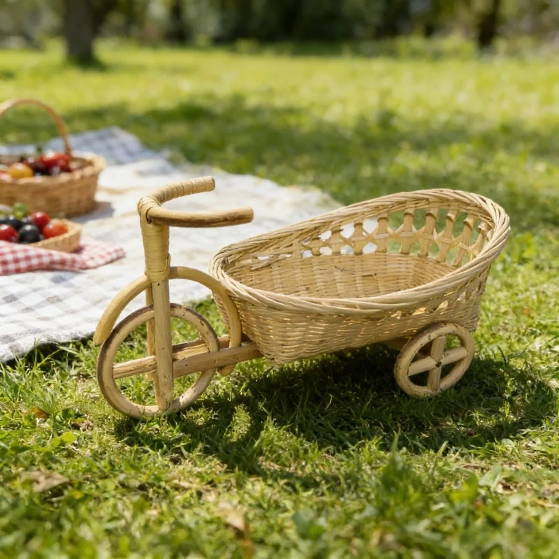 Newborn Photography Props Hand - Home Decor Rattan ulasan dan harga