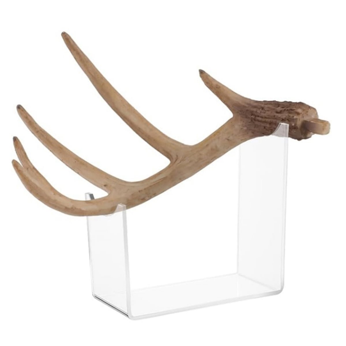 2026 Trend Horn Mount, Four Pi - Home Decor Trend 2026 ulasan dan harga